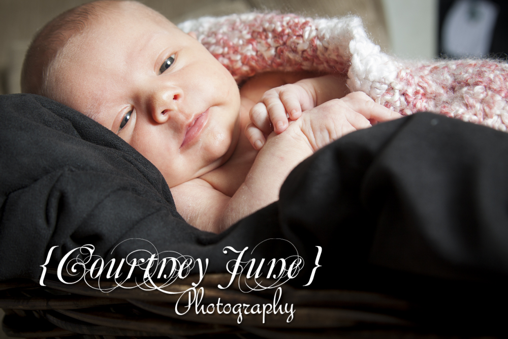 newborn baby family ramona san diego photography