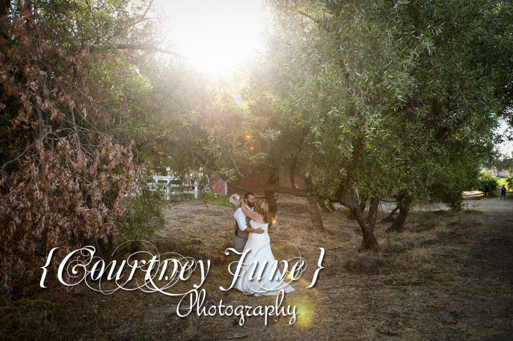 winery wedding photogrpahy minnesota minneapolis wedding photography