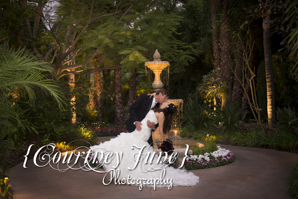 mansion wedding photography tropical wedding photogrpahy minnesota minneapolis wedding photography