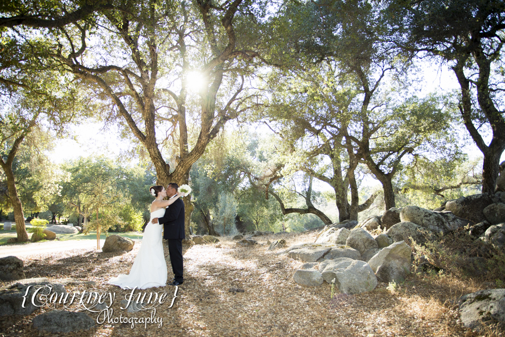 winery wedding minneapolis wedding photographer