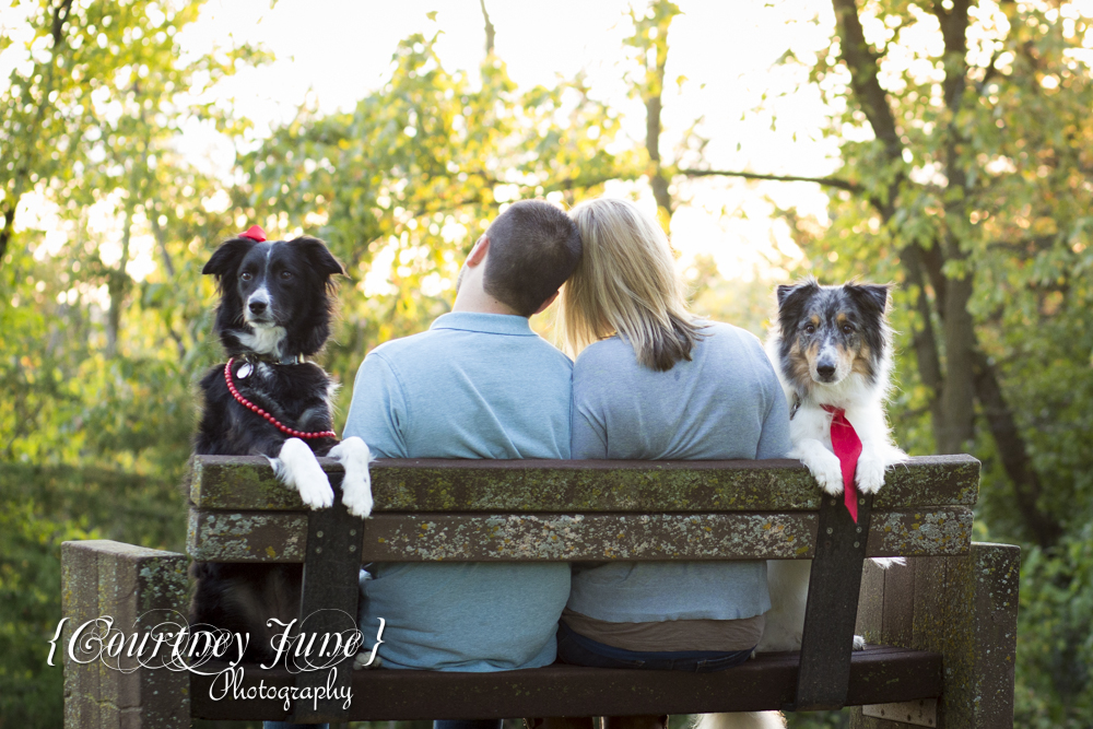 carver park reserve minneapolis southern minnesota family photographer