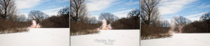 gender reveal minneapolis baby reveal maternity newborn photographer