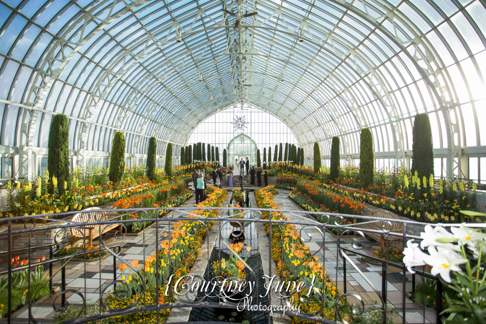 heartland-st-paul-como-zoo-sunken-garden-conservatory-minneapolis-wedding-photographer-20