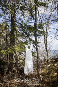 solbakken resort lake superior north shore lutsen two harbors minneapolis wedding photographer