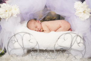 minnesota minneapolis maternity newborn family photographer