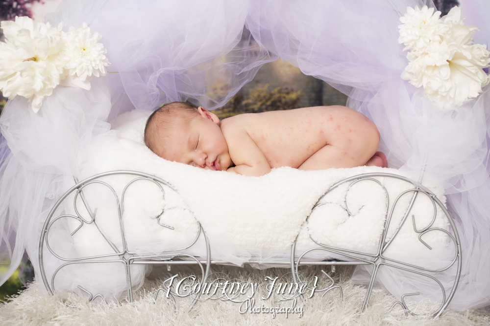 minnesota-minneapolis-maternity-newborn-family-photographer-11