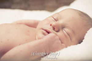 minnesota minneapolis maternity newborn family photographer