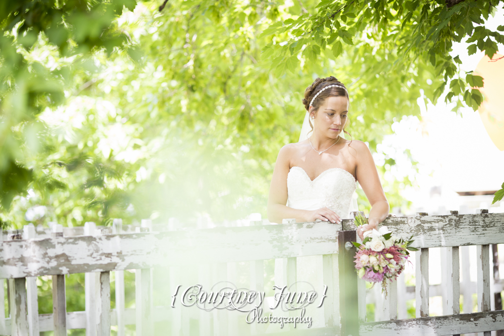 minnesota harvest apple orchard jordan minneapolis wedding photographer