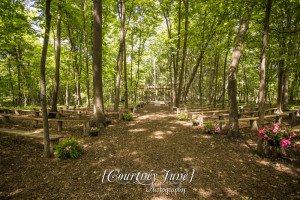 minnesota harvest apple orchard jordan minneapolis wedding photographer