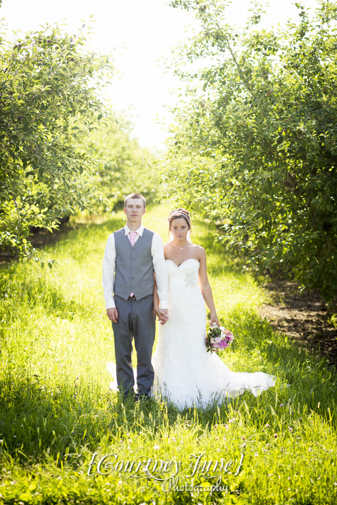 minnesota-harvest-apple-orchard-jordan-minneapolis-wedding-photographer-084