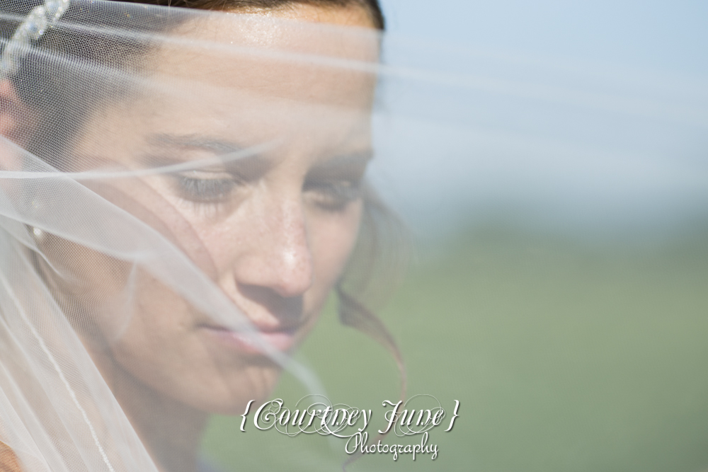 minnesota-harvest-apple-orchard-jordan-minneapolis-wedding-photographer-098