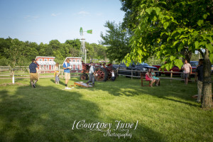 minnesota harvest apple orchard jordan minneapolis wedding photographer