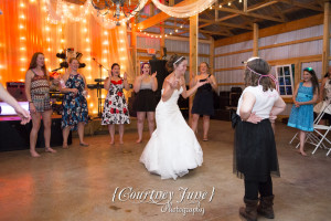 minnesota harvest apple orchard jordan minneapolis wedding photographer