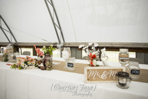 wright county fairgrounds minneapolis wedding photographer