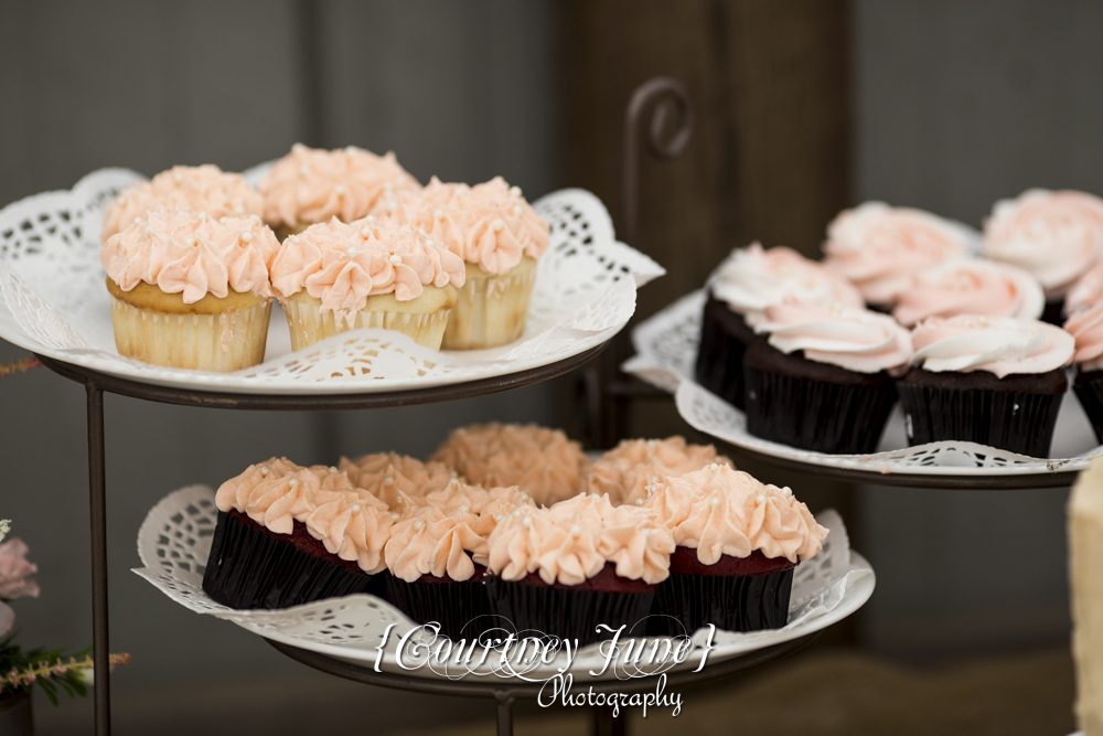 wright-county-fairgrounds-minneapolis-wedding-photographer-38