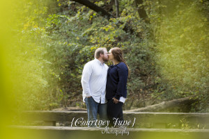 hidden falls regional park st paul engagement photographer open preserve minneapolis wedding photographer