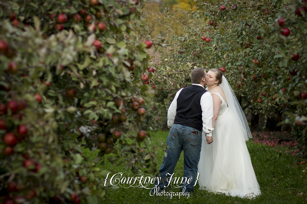 minnesota-harvest-apple-orchard-jordan-minneapolis-wedding-photography-01