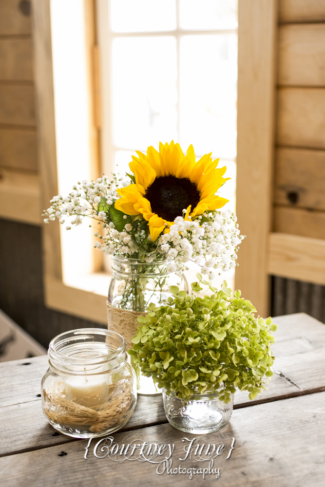 minnesota-harvest-apple-orchard-jordan-minneapolis-wedding-photography-07