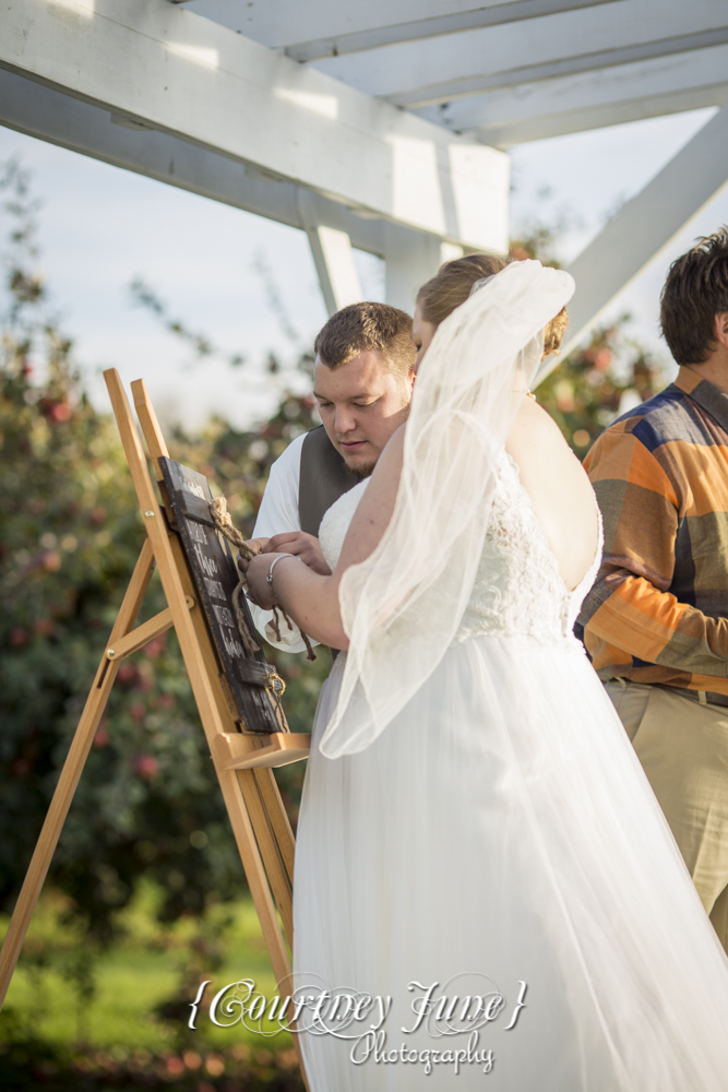 minnesota-harvest-apple-orchard-jordan-minneapolis-wedding-photography-34