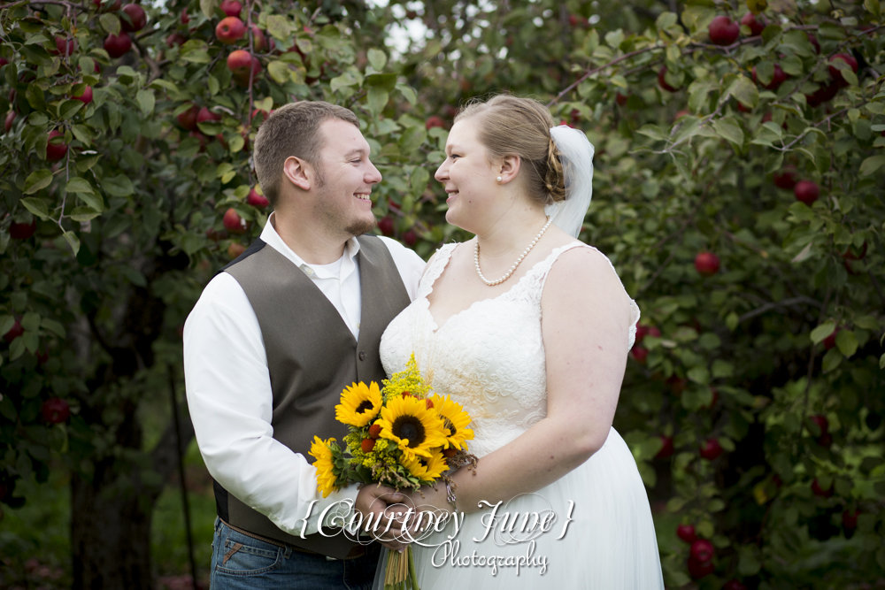minnesota-harvest-apple-orchard-jordan-minneapolis-wedding-photography-37