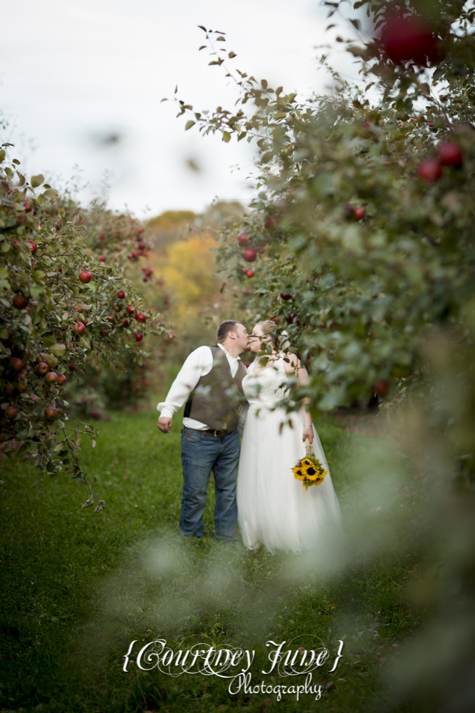 minnesota-harvest-apple-orchard-jordan-minneapolis-wedding-photography-39
