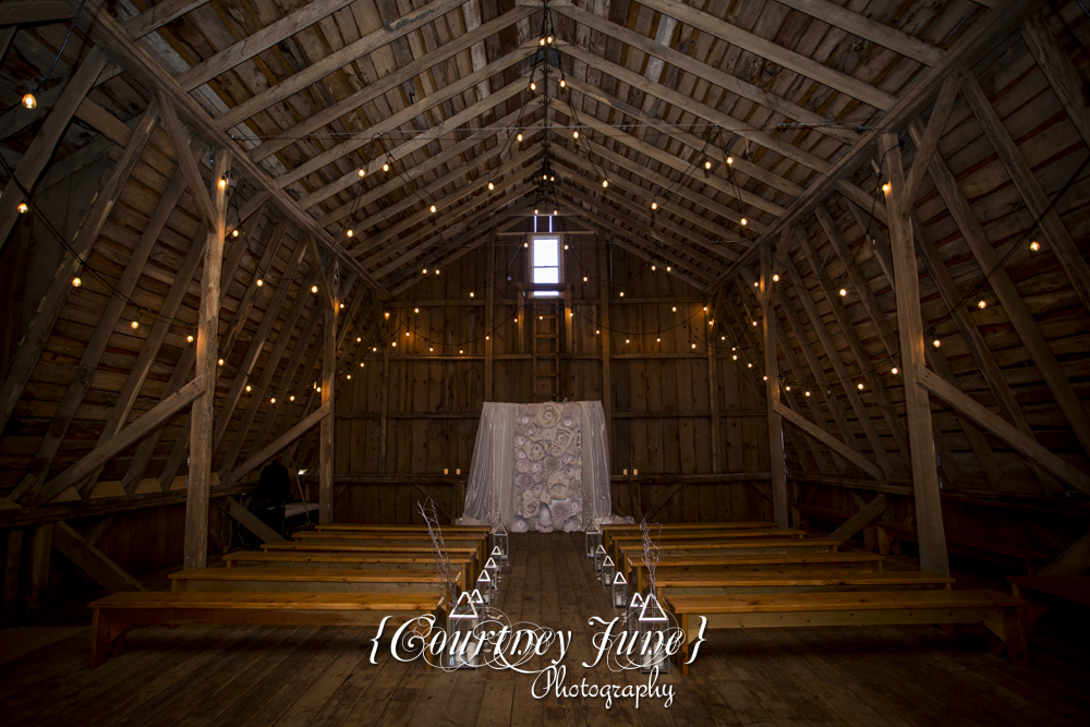 golden-oaks-farm-webster-minneapolis-wedding-photographer-29