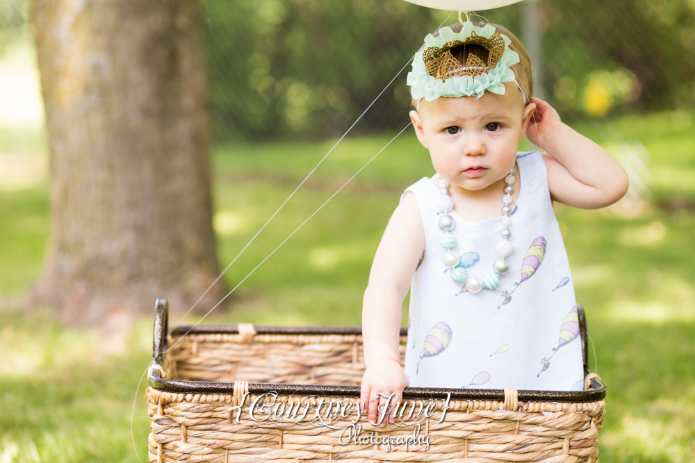 first birthday party dr suess minneapolis family photographer first birthday photographer