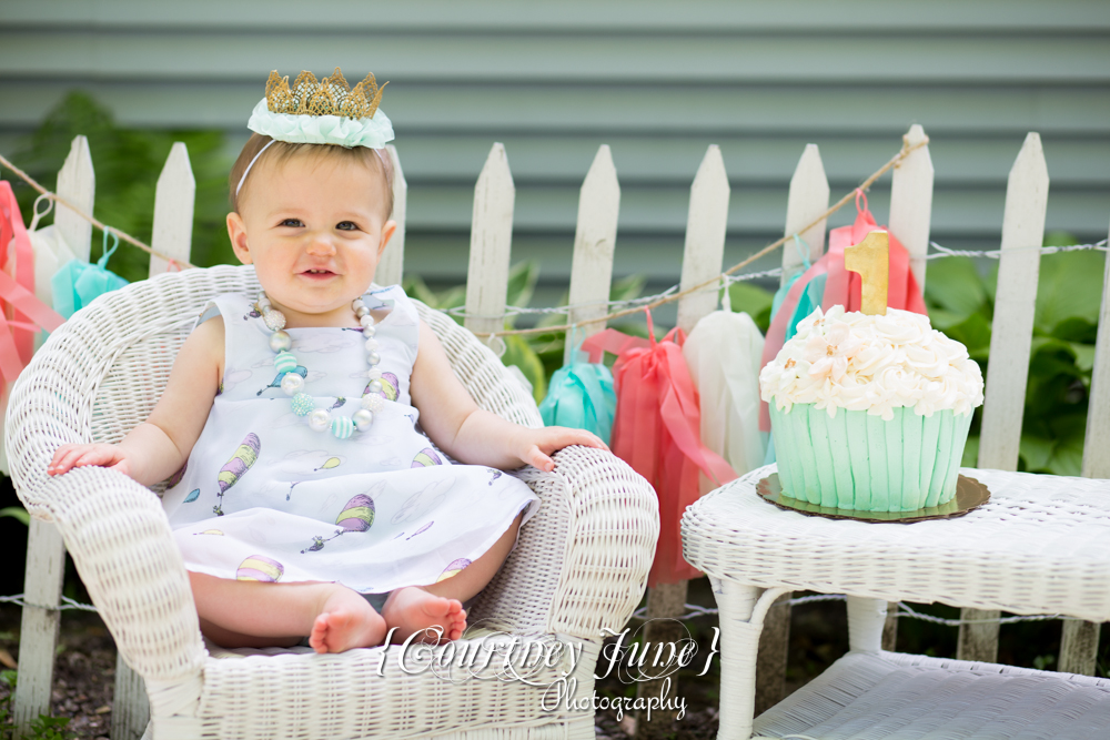 first-birthday-party-dr-suess-minneapolis-family-photographer-first-birthday-photographer-03