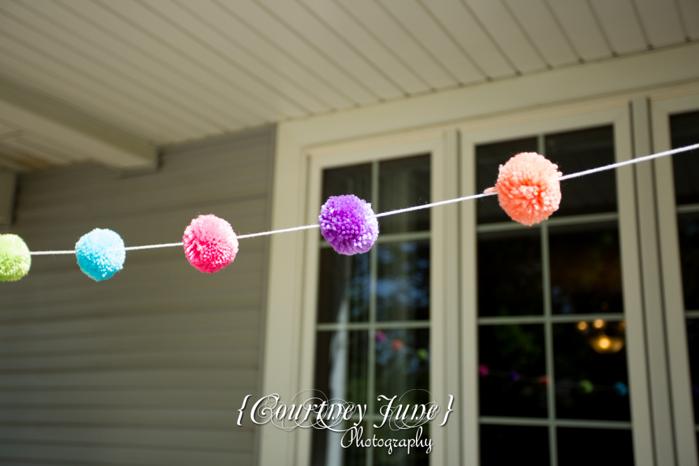 first-birthday-party-dr-suess-minneapolis-family-photographer-first-birthday-photographer-10