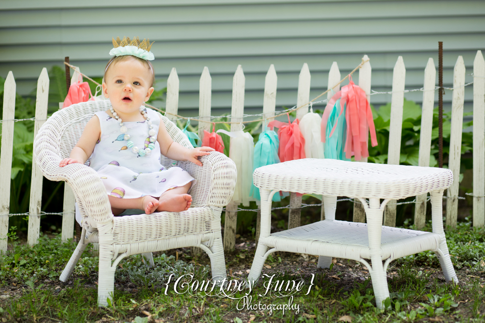 first-birthday-party-dr-suess-minneapolis-family-photographer-first-birthday-photographer-11