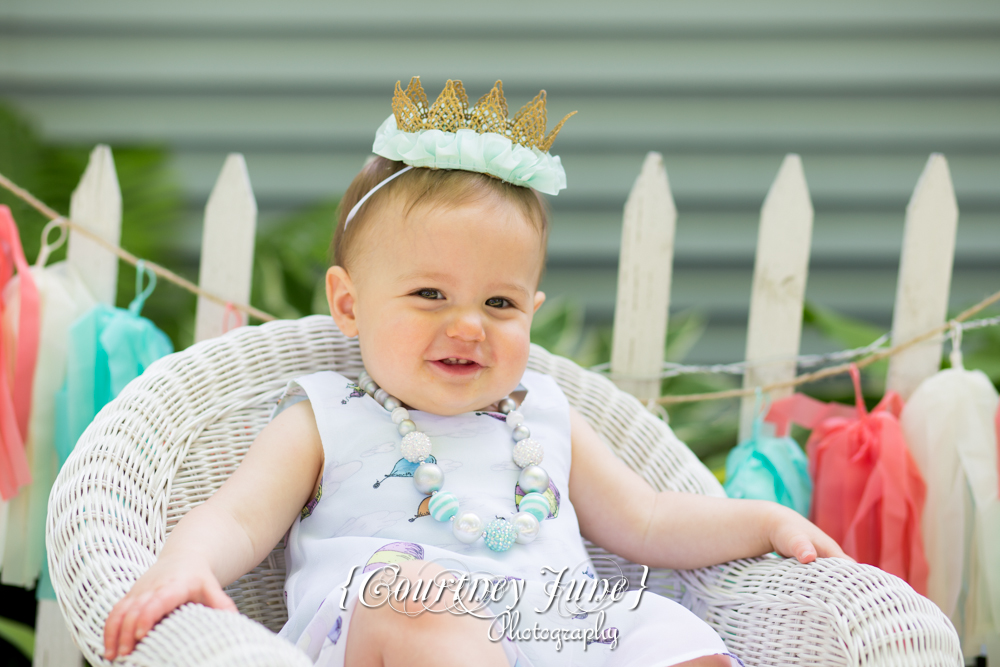 first-birthday-party-dr-suess-minneapolis-family-photographer-first-birthday-photographer-13