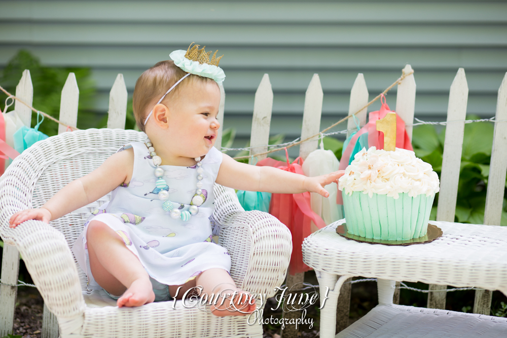 first-birthday-party-dr-suess-minneapolis-family-photographer-first-birthday-photographer-14