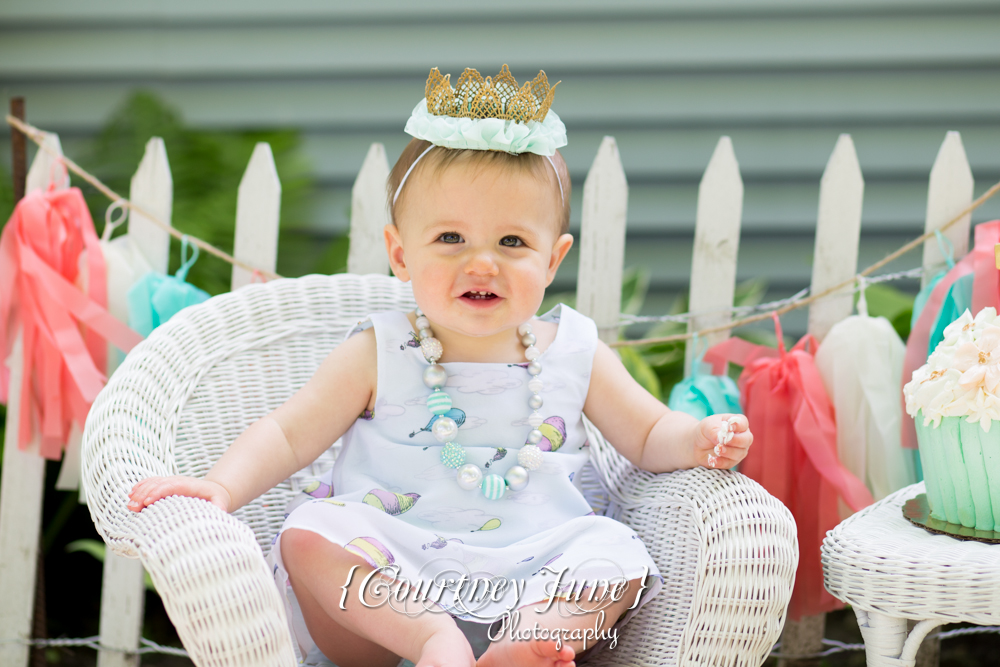 first-birthday-party-dr-suess-minneapolis-family-photographer-first-birthday-photographer-15