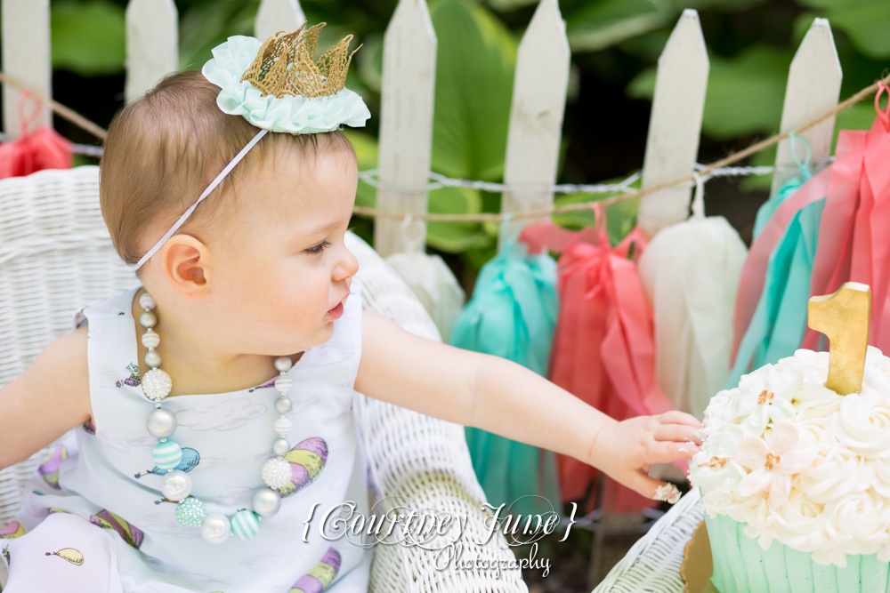 first-birthday-party-dr-suess-minneapolis-family-photographer-first-birthday-photographer-16