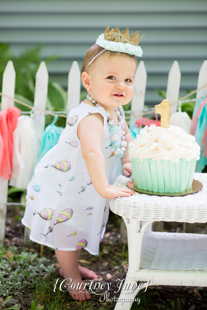first-birthday-party-dr-suess-minneapolis-family-photographer-first-birthday-photographer-17