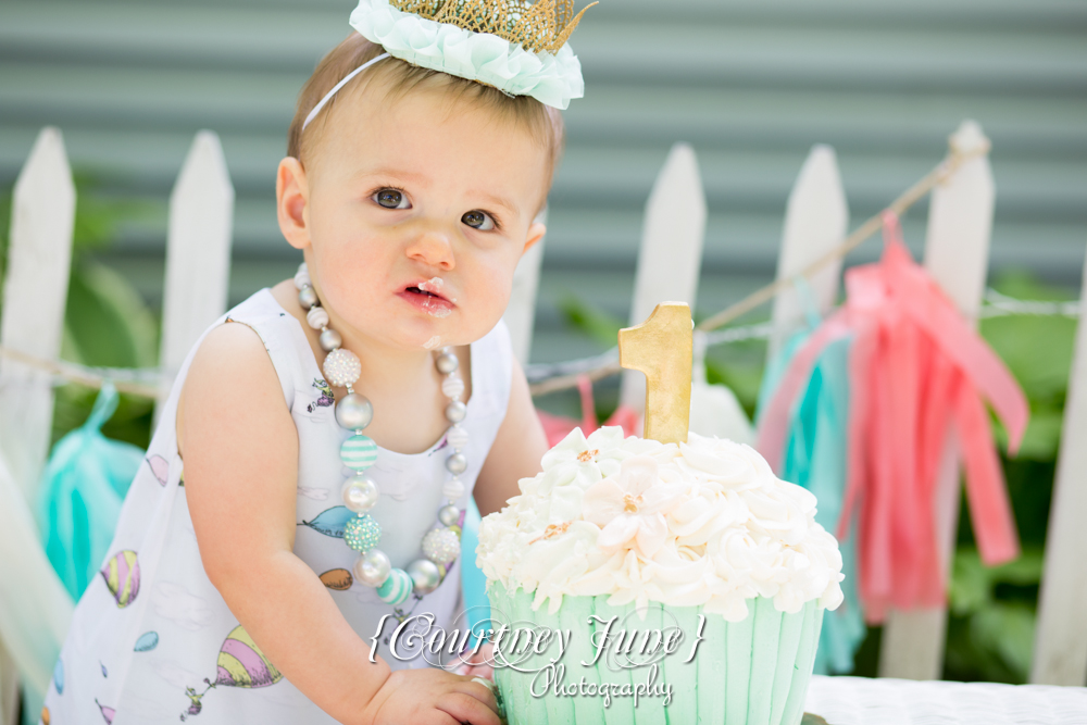 first-birthday-party-dr-suess-minneapolis-family-photographer-first-birthday-photographer-18