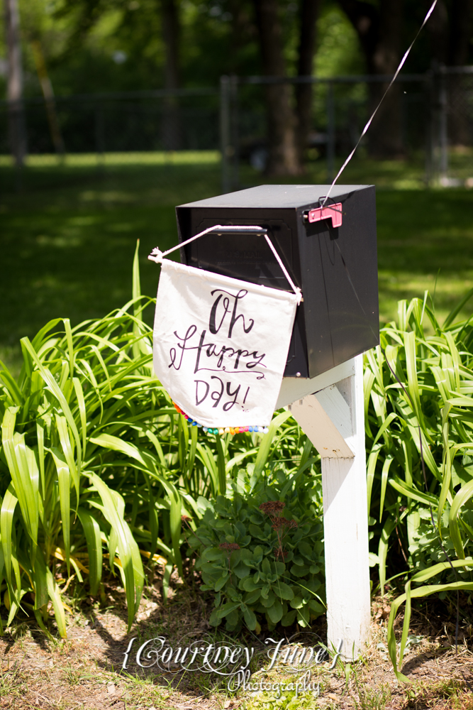 first-birthday-party-dr-suess-minneapolis-family-photographer-first-birthday-photographer-22