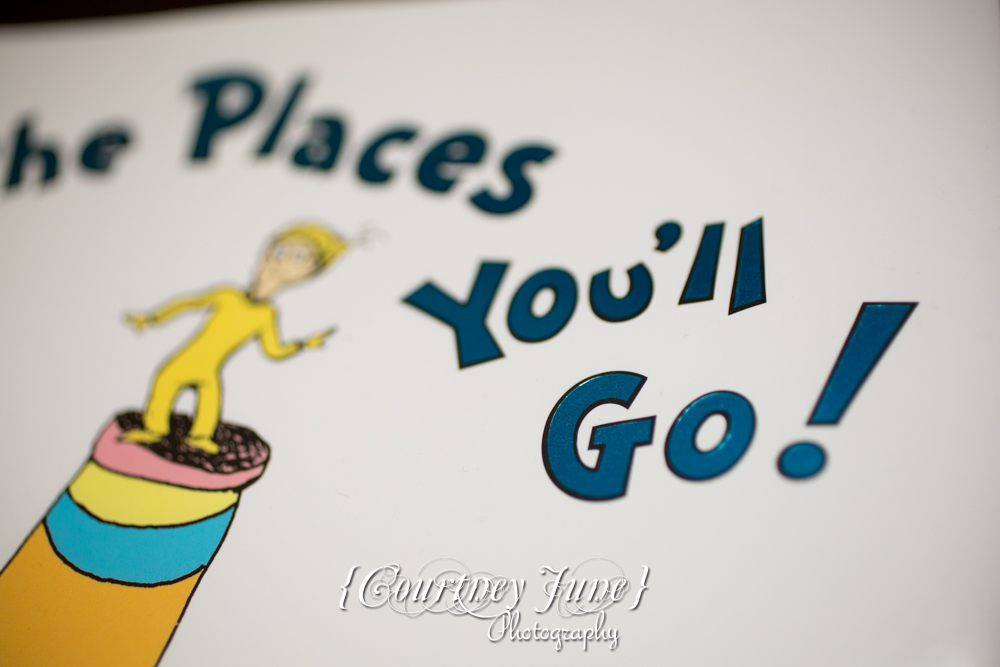 first-birthday-party-dr-suess-minneapolis-family-photographer-first-birthday-photographer-30