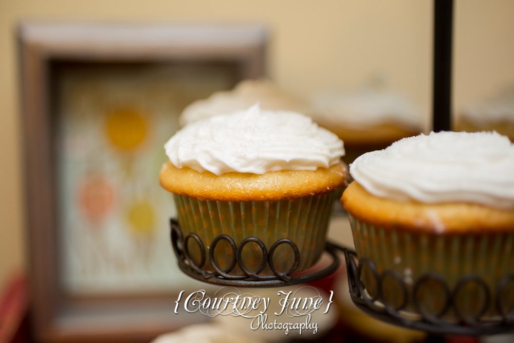 first-birthday-party-dr-suess-minneapolis-family-photographer-first-birthday-photographer-31