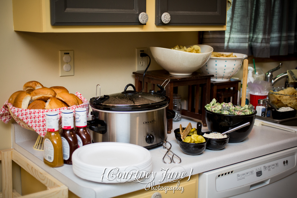 first-birthday-party-dr-suess-minneapolis-family-photographer-first-birthday-photographer-33