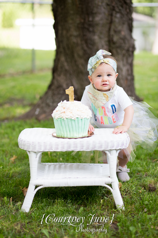 first-birthday-party-dr-suess-minneapolis-family-photographer-first-birthday-photographer-35