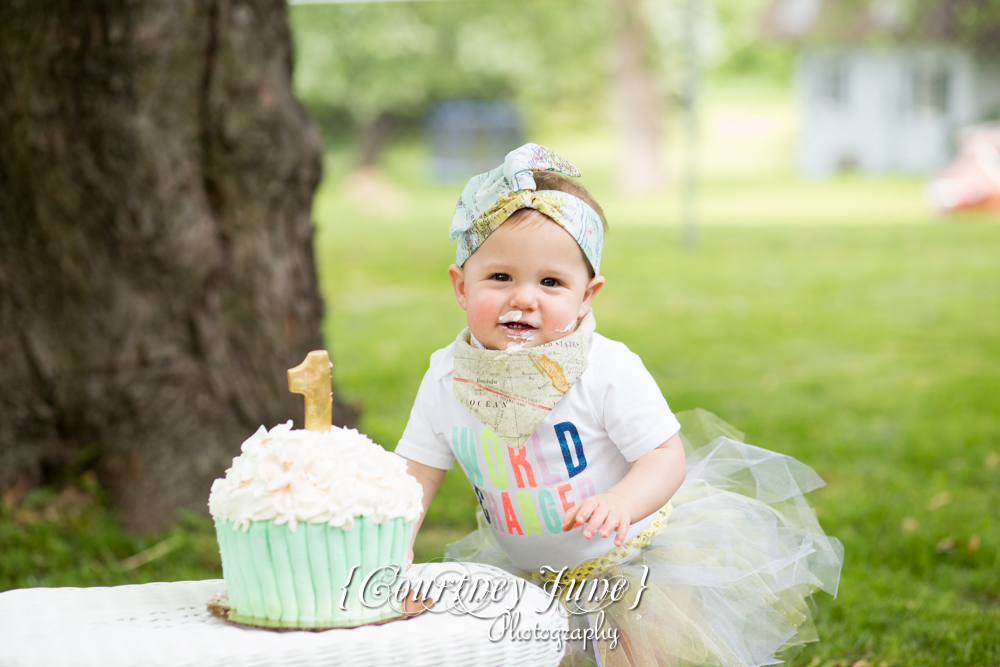 first-birthday-party-dr-suess-minneapolis-family-photographer-first-birthday-photographer-36