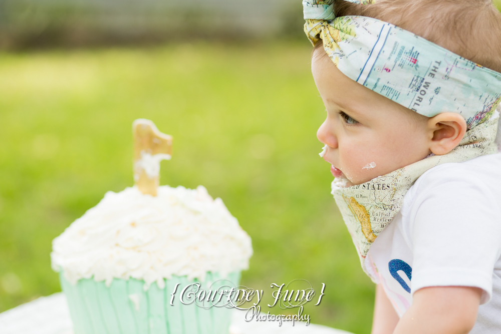 first-birthday-party-dr-suess-minneapolis-family-photographer-first-birthday-photographer-37