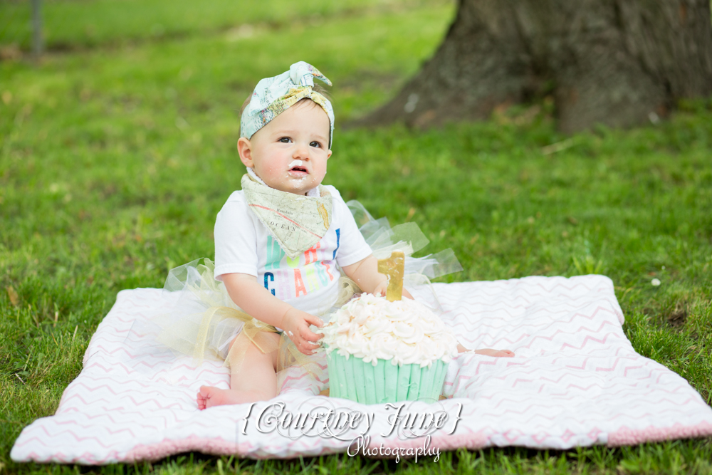 first-birthday-party-dr-suess-minneapolis-family-photographer-first-birthday-photographer-38