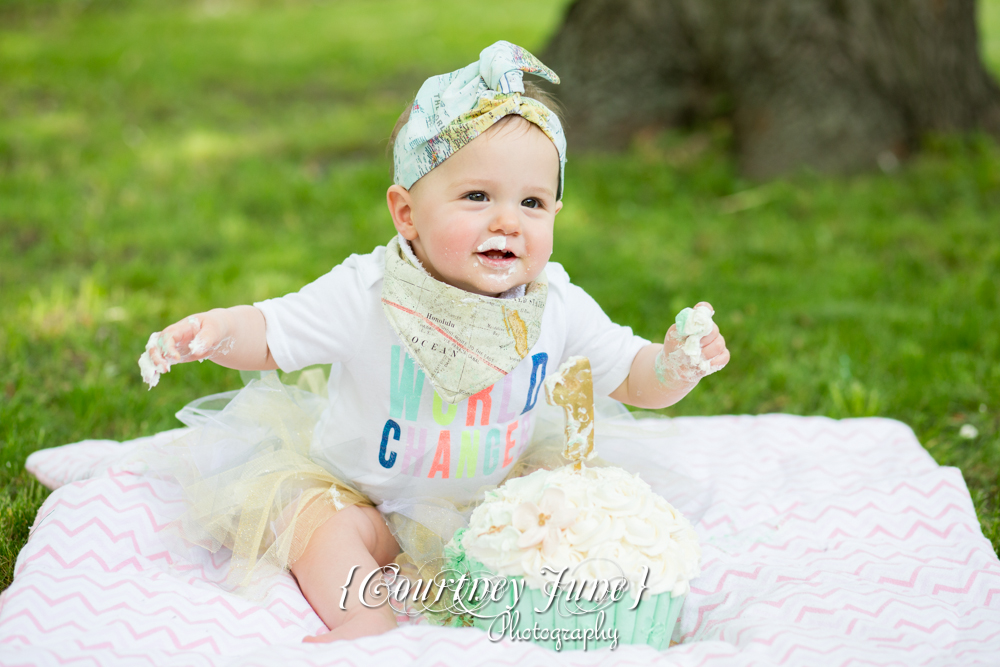 first-birthday-party-dr-suess-minneapolis-family-photographer-first-birthday-photographer-39