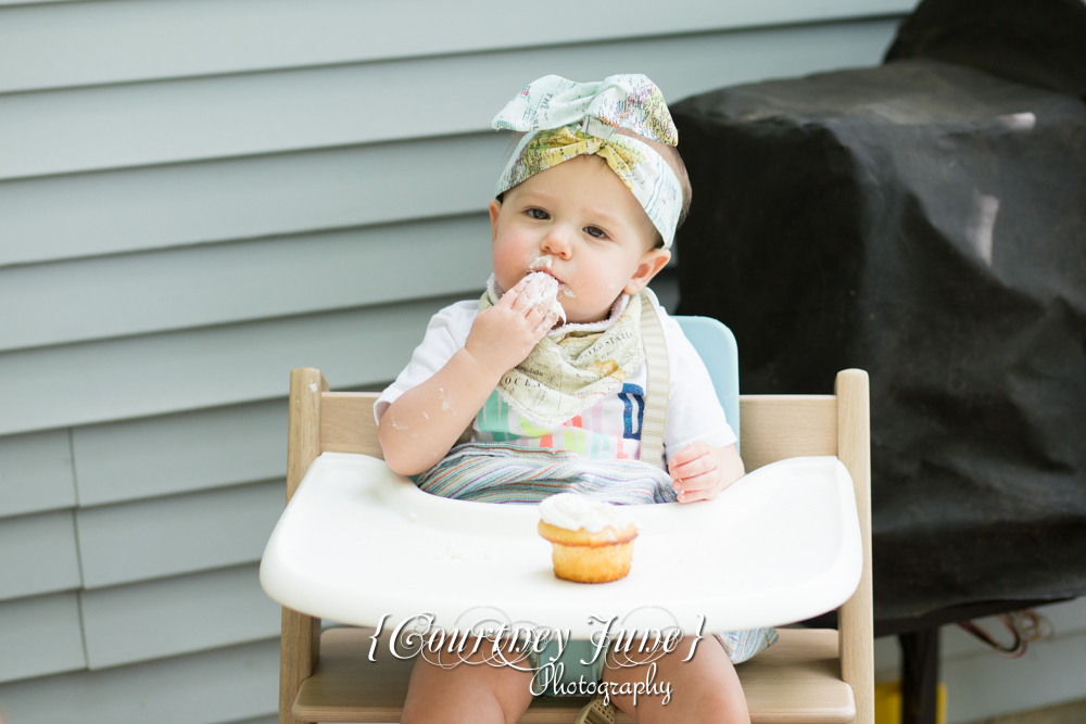 first-birthday-party-dr-suess-minneapolis-family-photographer-first-birthday-photographer-40