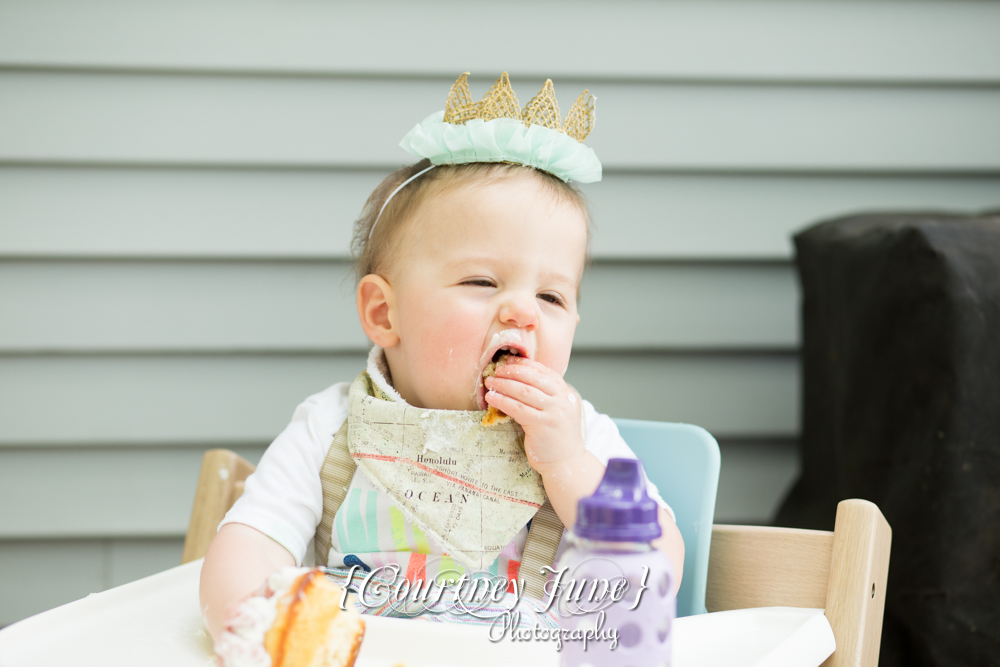 first-birthday-party-dr-suess-minneapolis-family-photographer-first-birthday-photographer-41