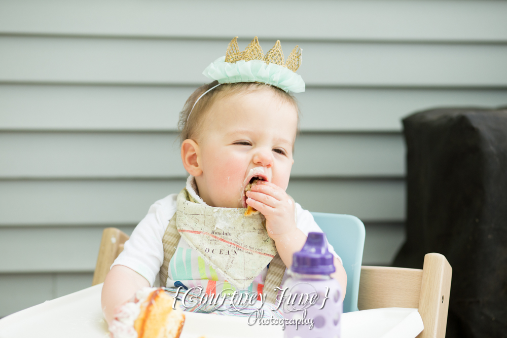 first-birthday-party-dr-suess-minneapolis-family-photographer-first-birthday-photographer-41