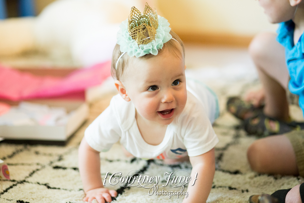 first-birthday-party-dr-suess-minneapolis-family-photographer-first-birthday-photographer-44