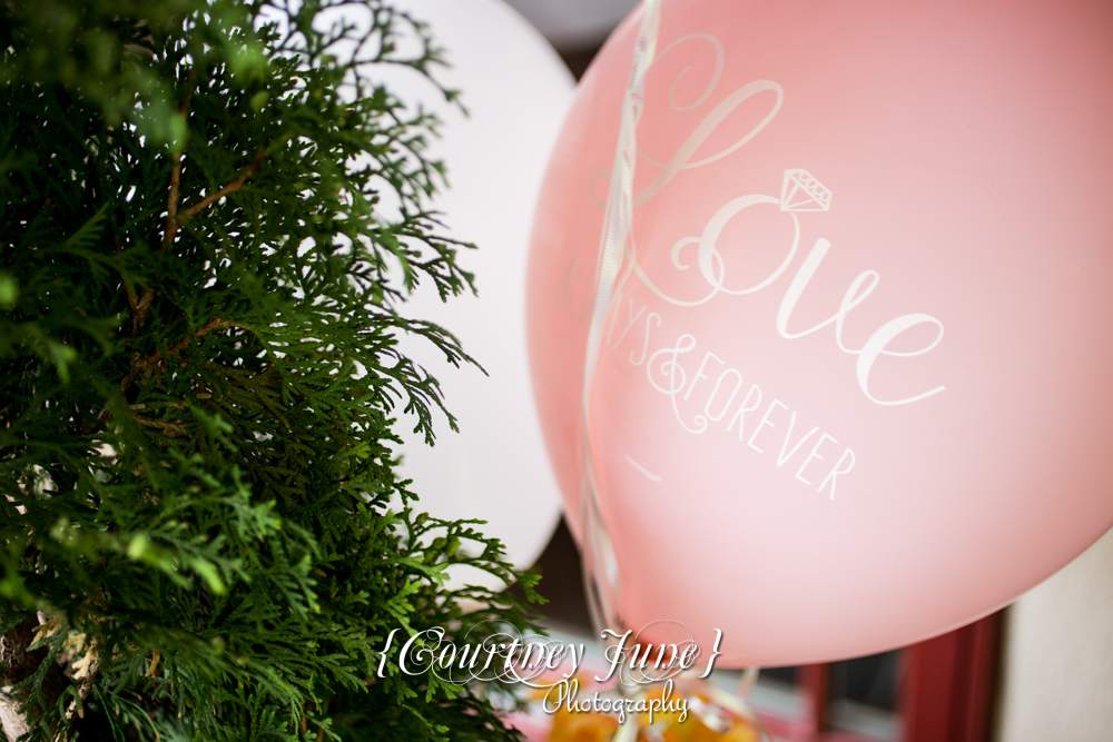 minneapolis-wedding-photographer-bridal-shower-photographer-forrest-lake-wedding-photographer-wedding-details-03